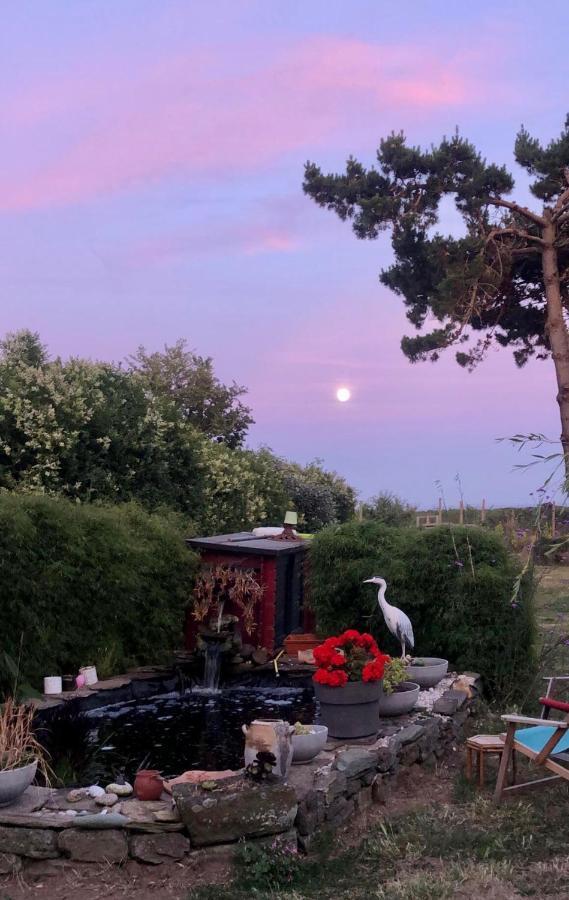 Bed and Breakfast La Korrigane Groix Zewnętrze zdjęcie